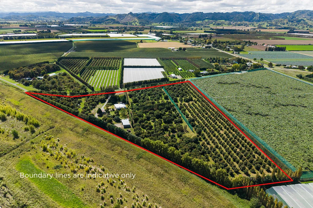 Hexton Avocado income with lifestyle living