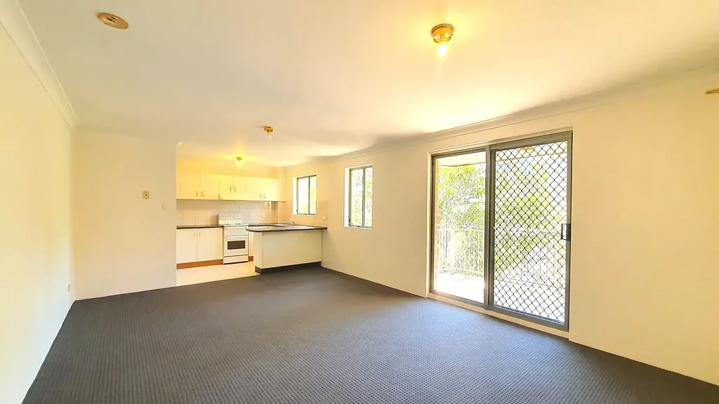 Fresh Paint and Carpet