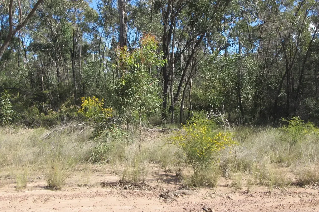 Tara  29.70 Acres with power accessible!