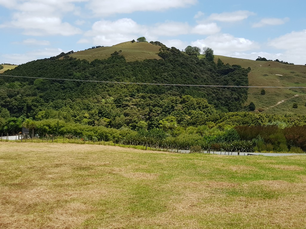 465 Heatley Road, Whakapirau, Kaipara, 3房, 0浴