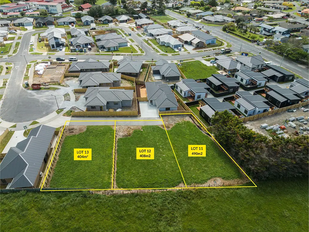 Waiuku Buy one! Buy two! Or buy all three!