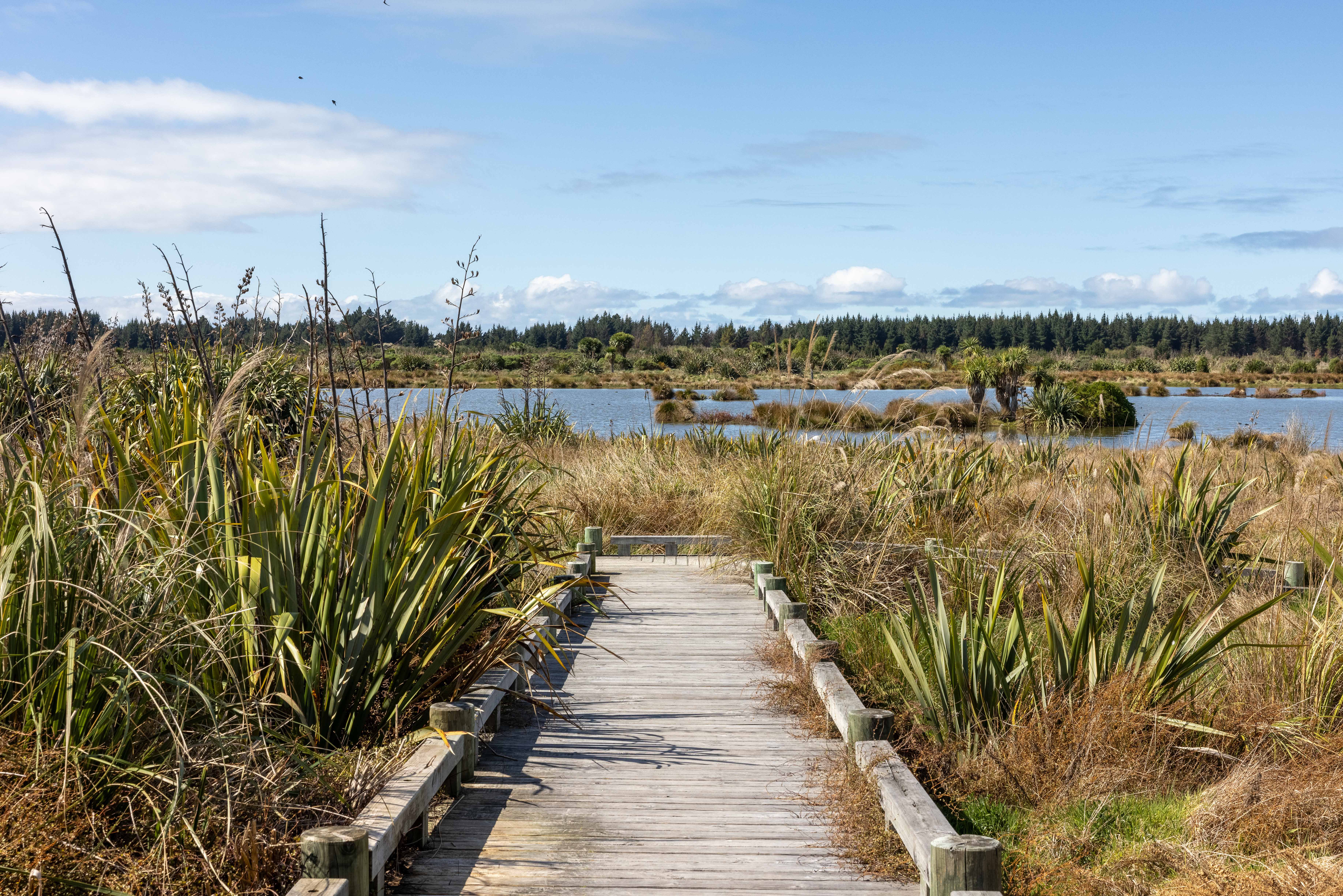 40 Pegasus Main Street, Pegasus, Waimakariri, 5房, 0浴, House