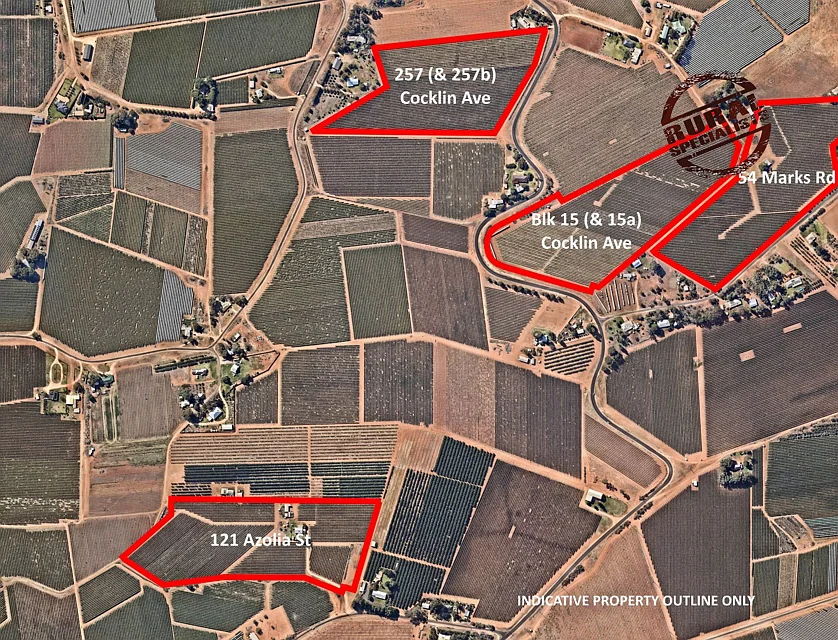 54 Marks Rd, Blk 15 & 257 Cocklin Ave & 121 Azolia St, Red Cliffs, VIC 3496, 3部屋, 1バスルーム, Lifestyle Property