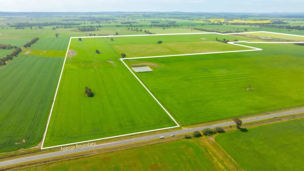 Walla Walla PRIME LOCATION CROPPING BLOCK