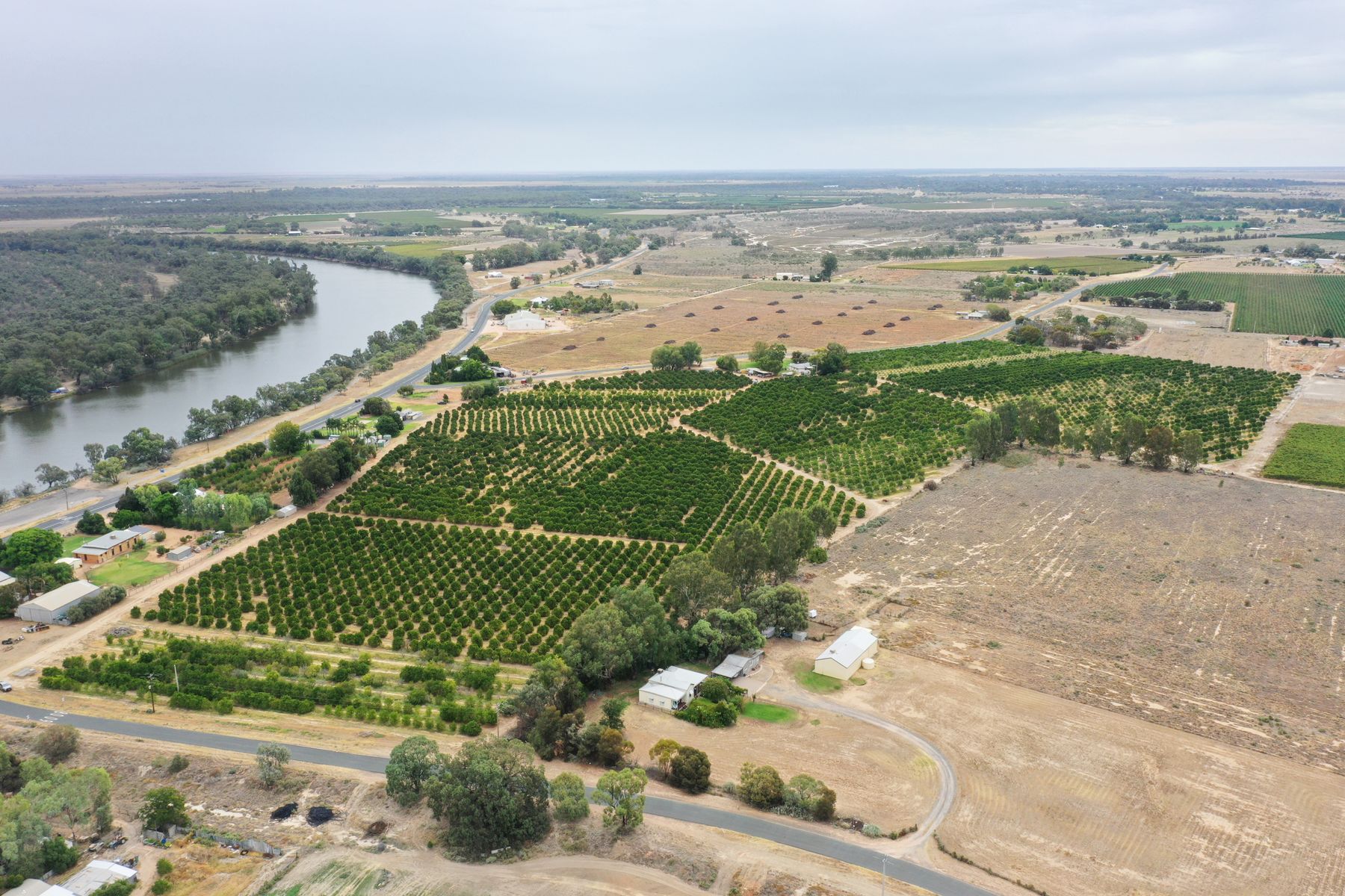 FARM 4 615 DELTA RD, CURLWAA NSW 2648, 0 Schlafzimmer, 0 Badezimmer, Lifestyle Property