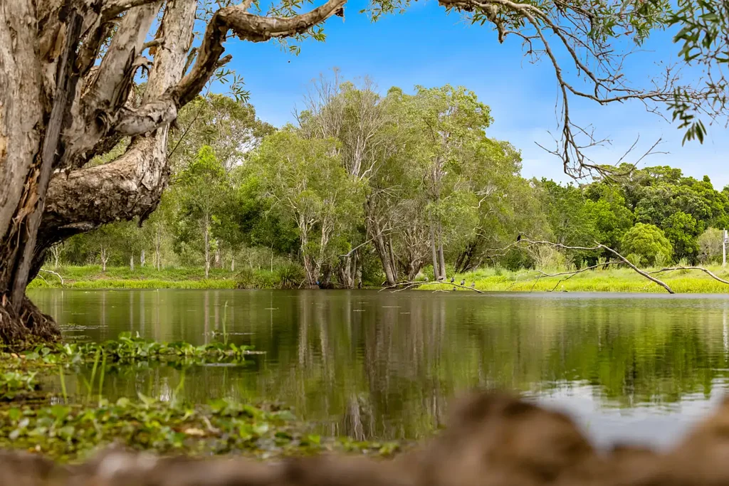 Woodford A Lifestyle Sanctuary on the Stanley River with Rare Subdivision Potential