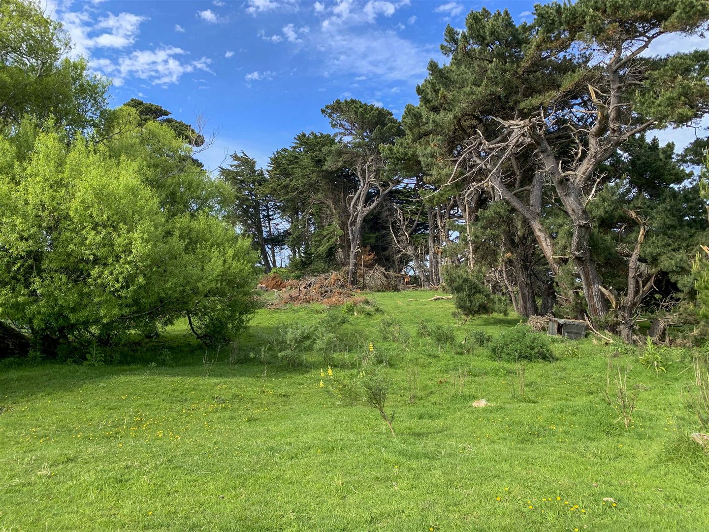 68 Ariki Avenue, Otatara, Invercargill, 0 habitaciones, 0 baños