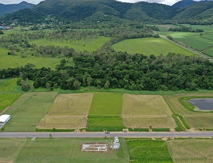 LOT 8 Nina Street, Cannon Valley, Mackay, 0 Bedrooms, 0 Bathrooms, Section