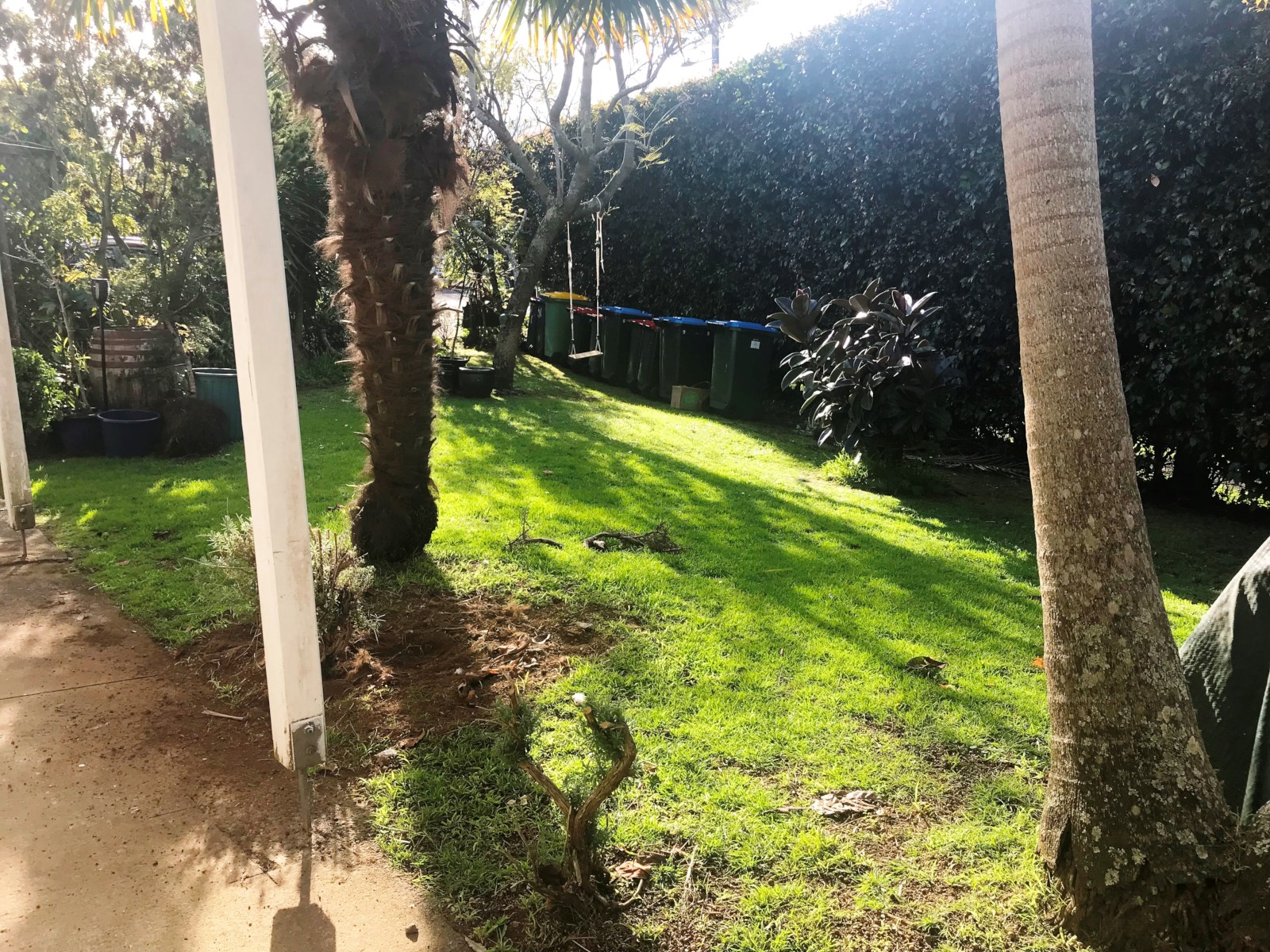 10/9 August Place, Greenlane, Auckland, 1 Bedrooms, 1 Bathrooms