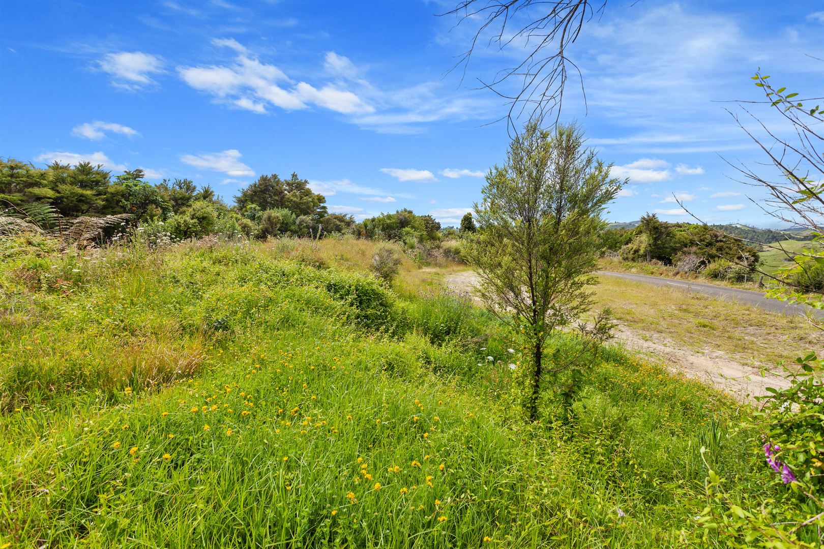 492 Stanley Road, Wainui, Whakatane, 0 침실, 0 욕실