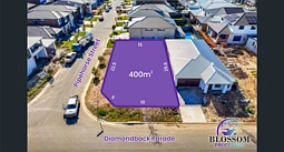 46 Diamondback Parade, Marsden Park