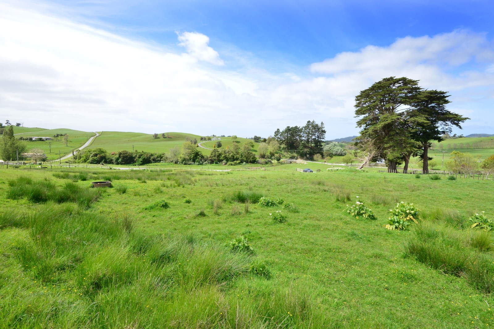 19 Borrows Road, Wellsford, Auckland - Rodney, 0 chambres, 0 salles de bain