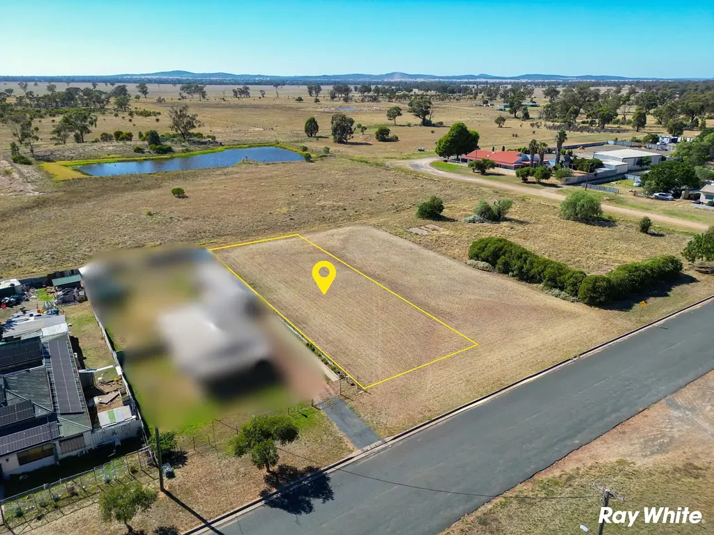 49 De Boos Street, Barmedman, NSW 2668