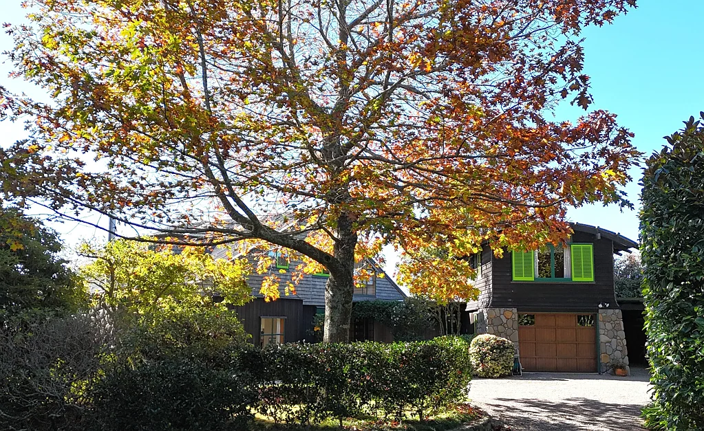 Whakamarama  European elegance with rural charm