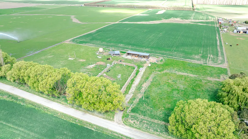 Temuka  6ha Lifestyle Block - Barrett Road