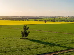 'Green Hills' 146 Seventeen Mile Mail Road, Marrar