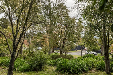 43 Reeve Drive, Havelock North, Hastings, 0 Bedrooms, 0 Bathrooms, Section