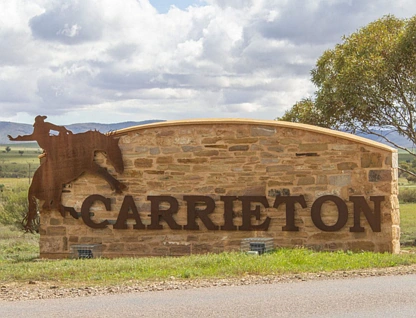 LOT 219 Fifth Street, Carrieton, Barossa - Yorke - Mid North, 0 રૂમ, 0 બાથરૂમ, Section