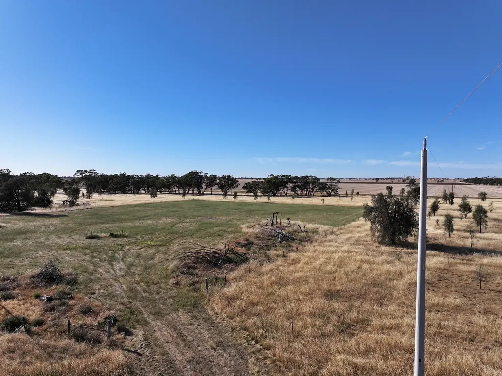 Lillimur  Your Weekend Escape Awaits