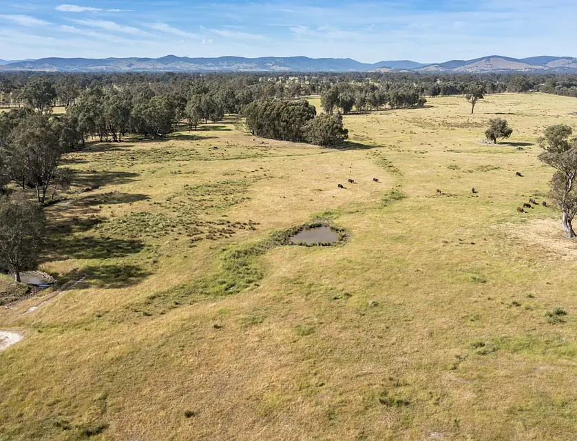 CA29A Baddaginnie-Benalla Road, Baddaginnie, Wangaratta, 0部屋, 0バスルーム, Lifestyle Property