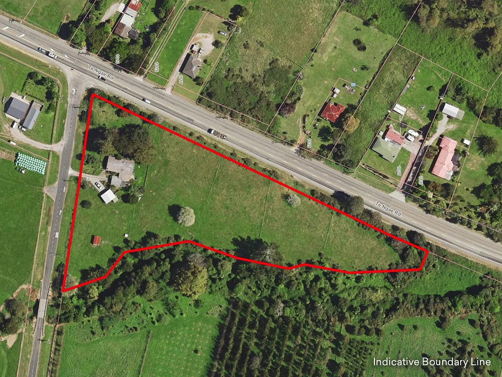 Tikitere 3Phòng ngủ Lifestyle Delight - Diamond In The Rough!