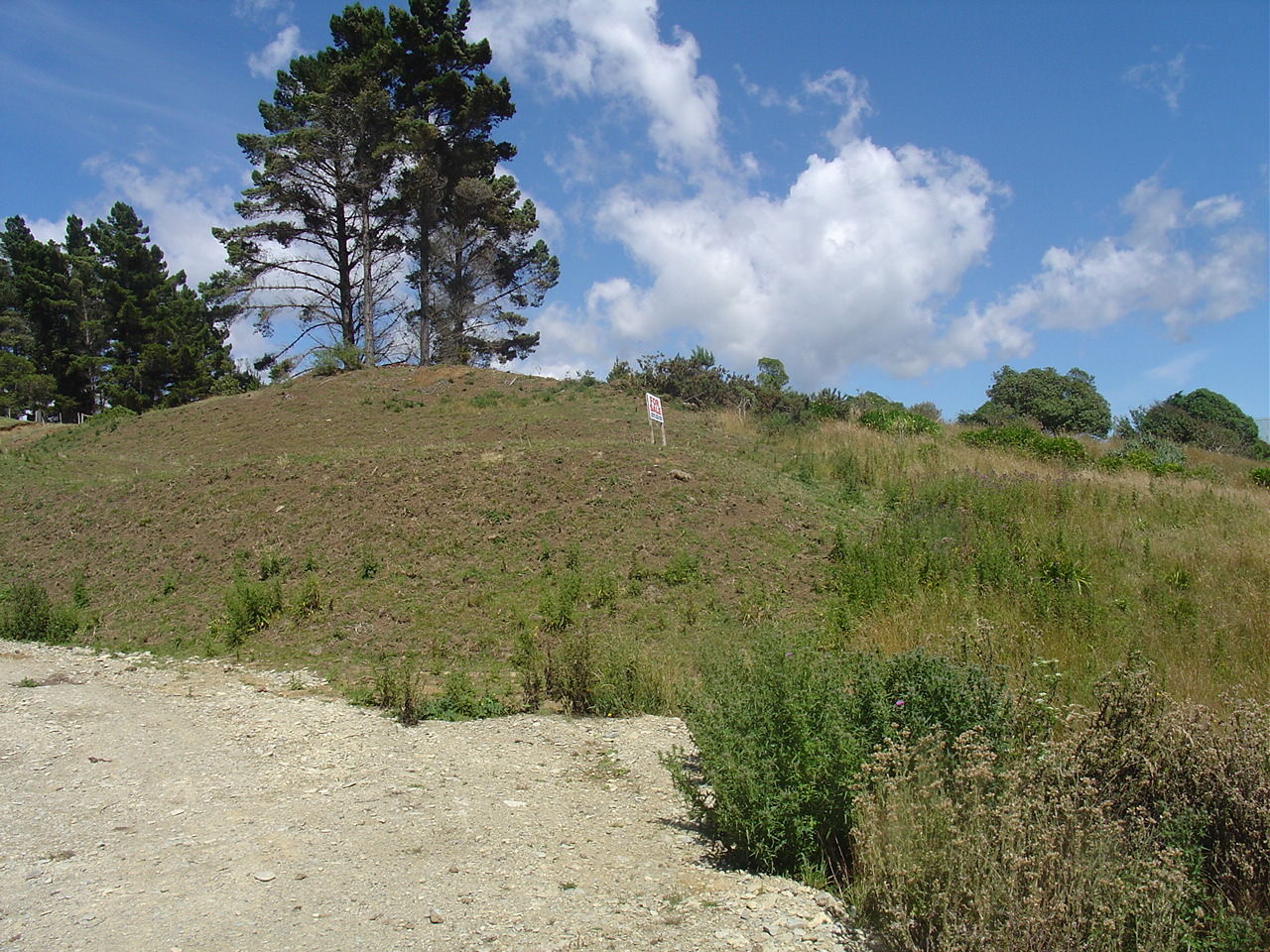 8 Tenby Street, Moeraki, Waitaki, 0房, 0浴