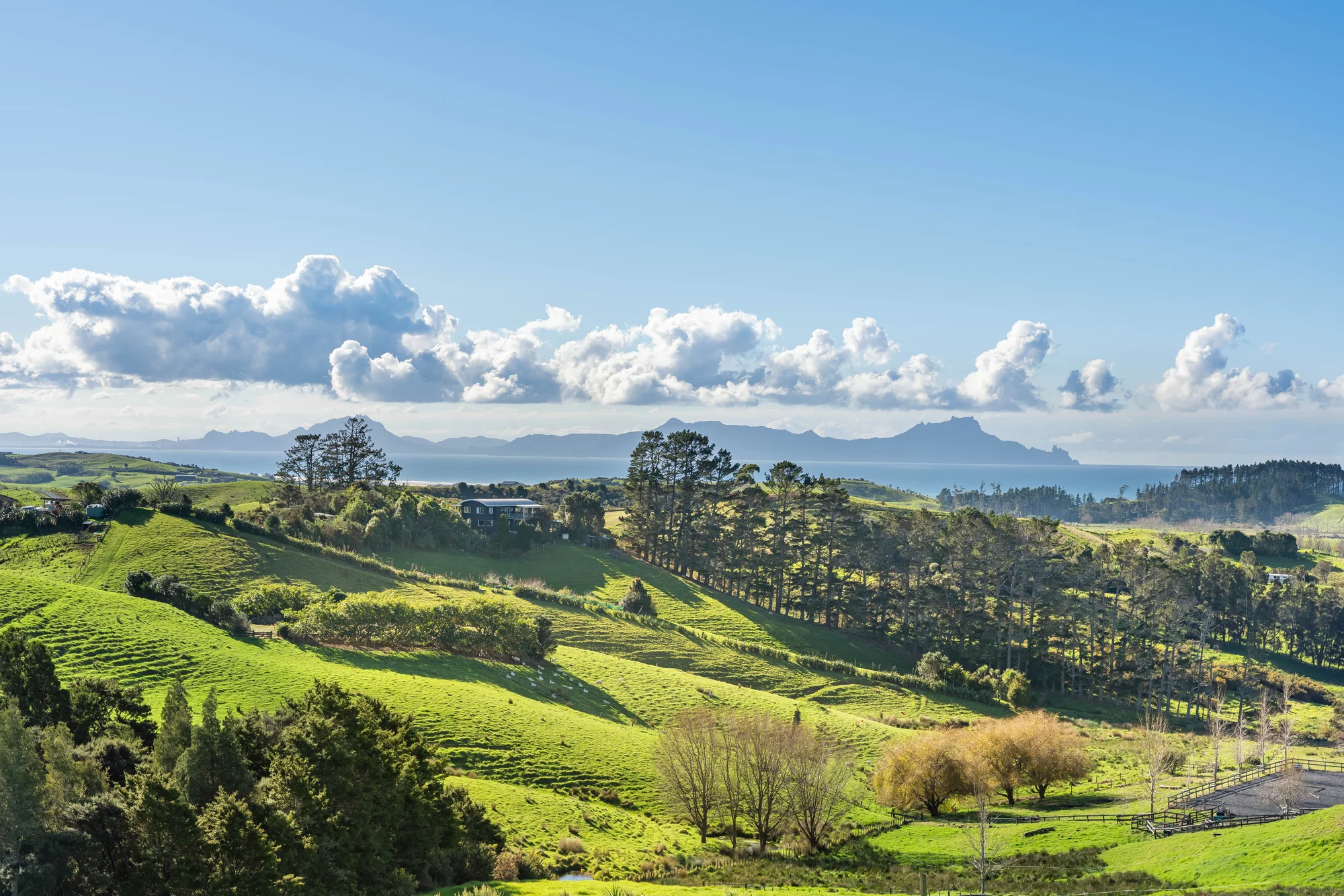 Waipu Iconic Views - No Covenants!