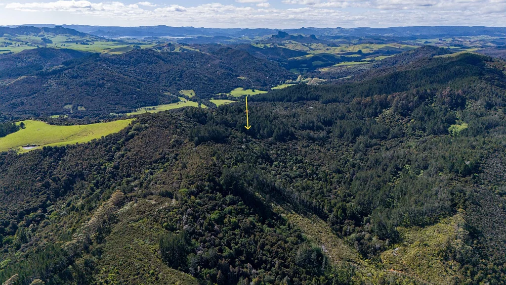 Mangonui  Expansive Bush Retreat with Untapped Potential