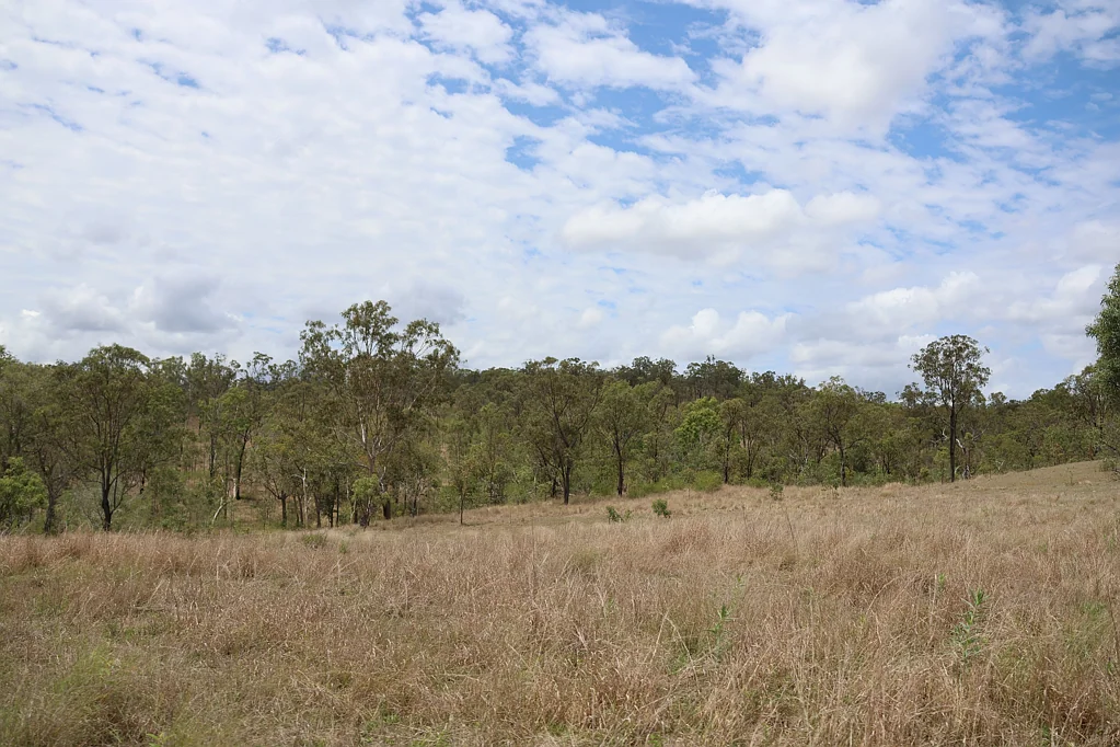 Boynedale  Quality Breeder Property in Tightly Held Area
