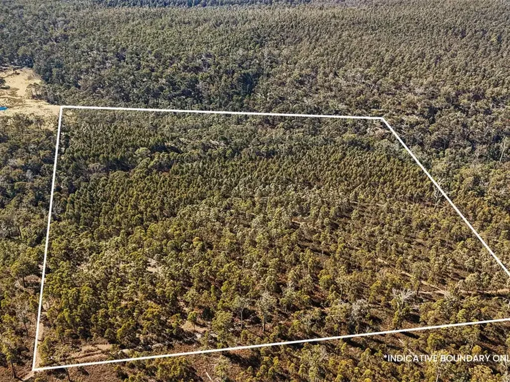 160 Sand Marsh Road, Woodsdale, TAS 7120