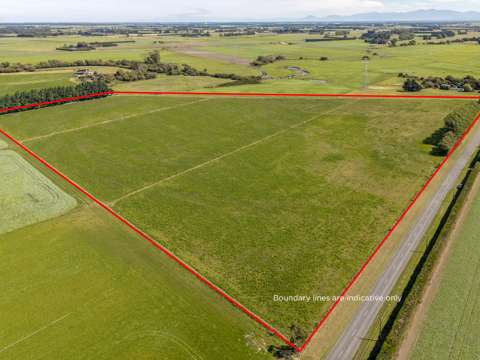 Leeston 12.76-hectares bare land awaiting your vision