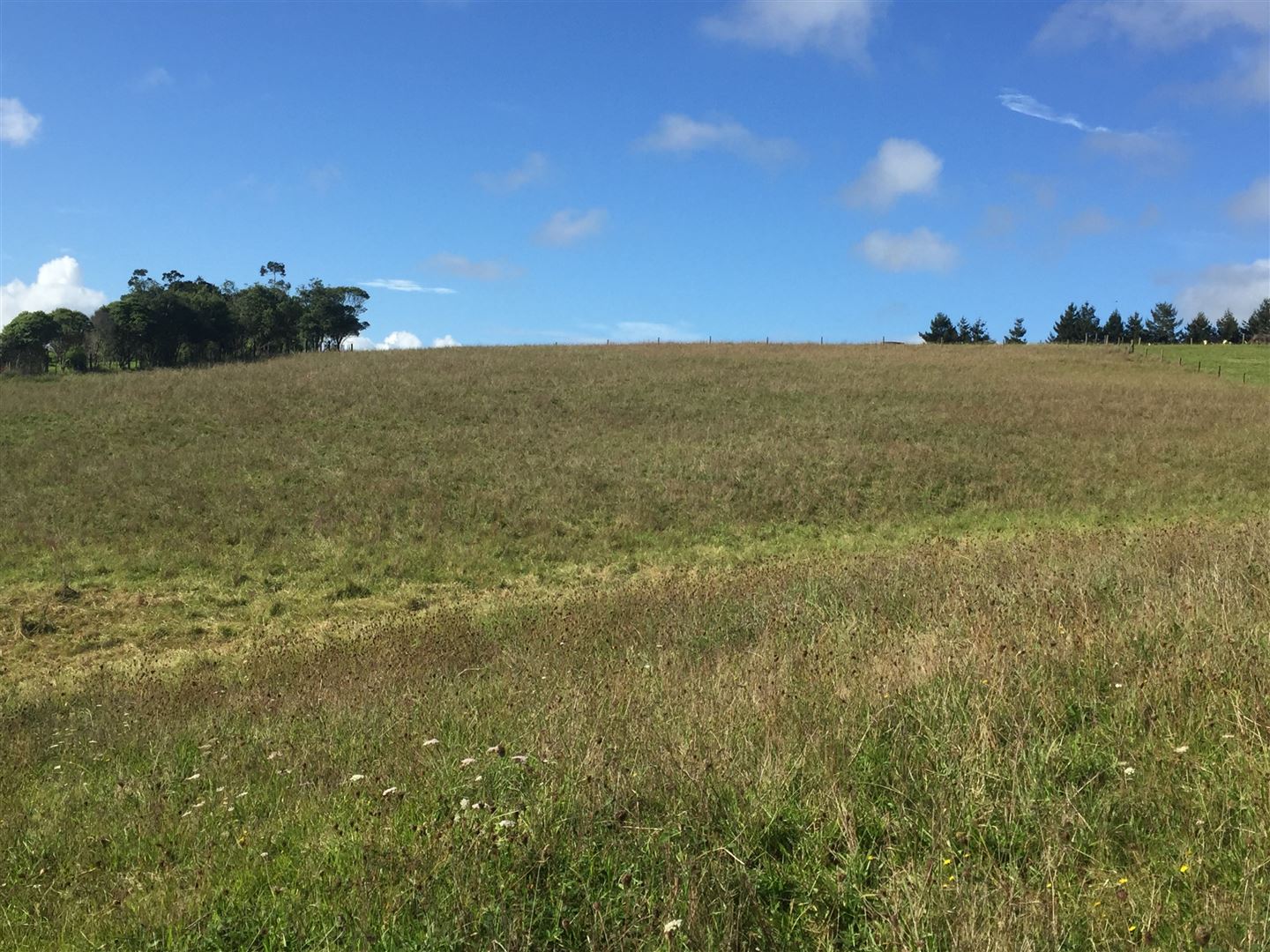 Millington Road, Maunu, Whangarei, 0房, 0浴