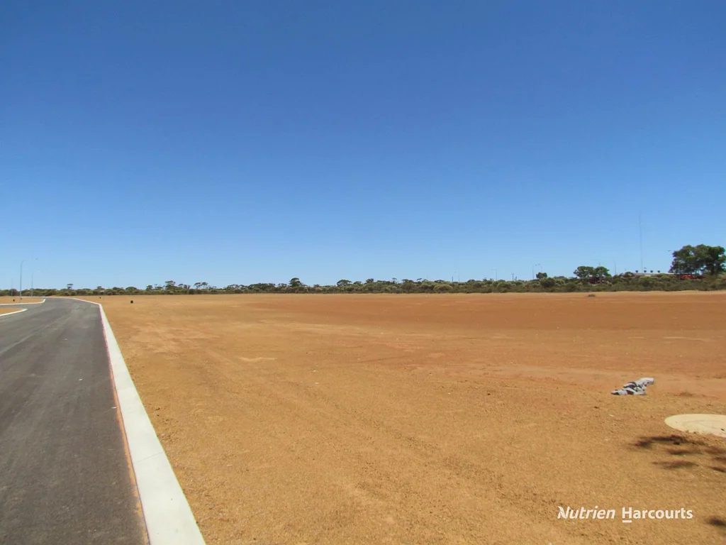 Dalwallinu Industrial Land Sub - Division Opportunity