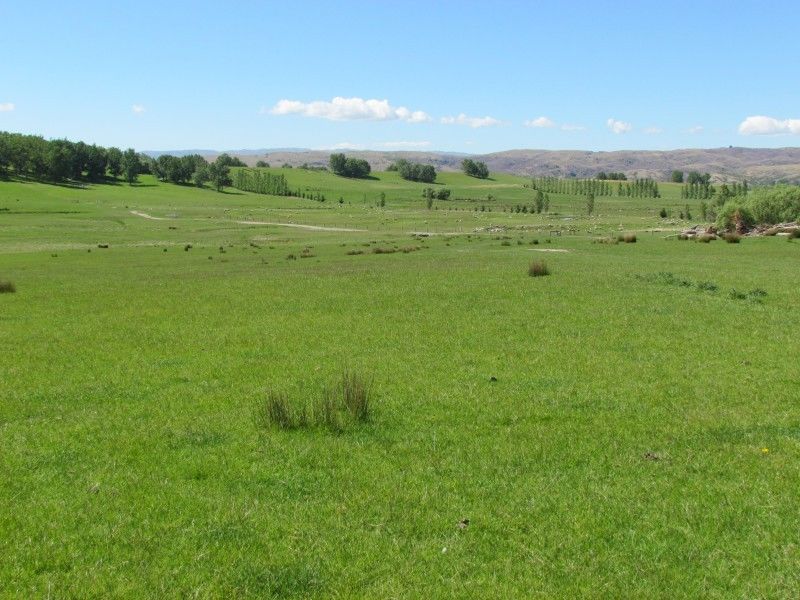 156 Racecourse Road, Omakau, Otago, 3 habitaciones, 1 baños