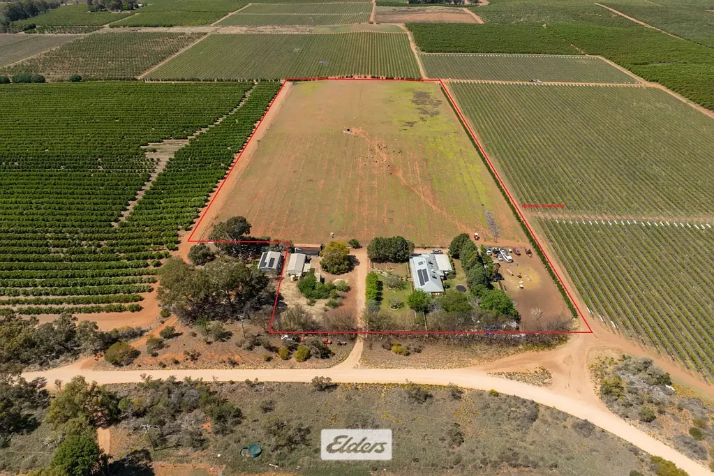 Colignan Offering a Rural Lifestyle with a Brick homestead, shedding and a pool.