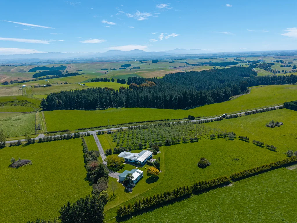 Levels Triple Title Lifestyle Opportunity and Options