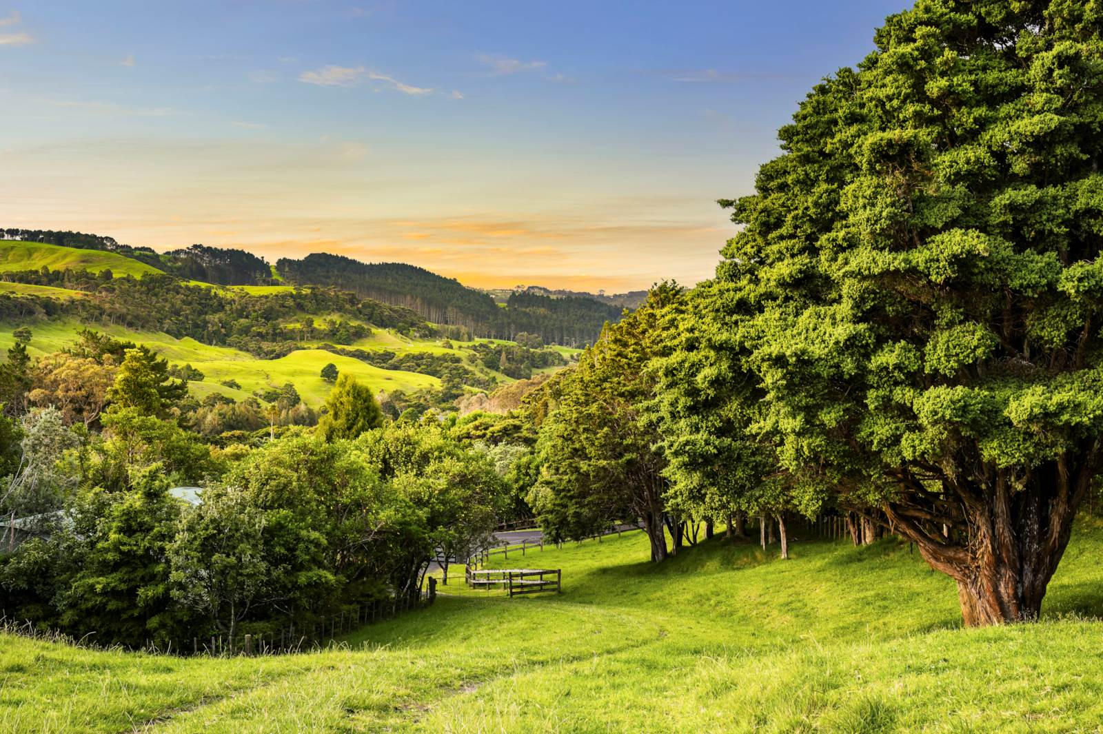 85 Taylor Road, Waimauku, Auckland - Rodney, 0房, 0浴