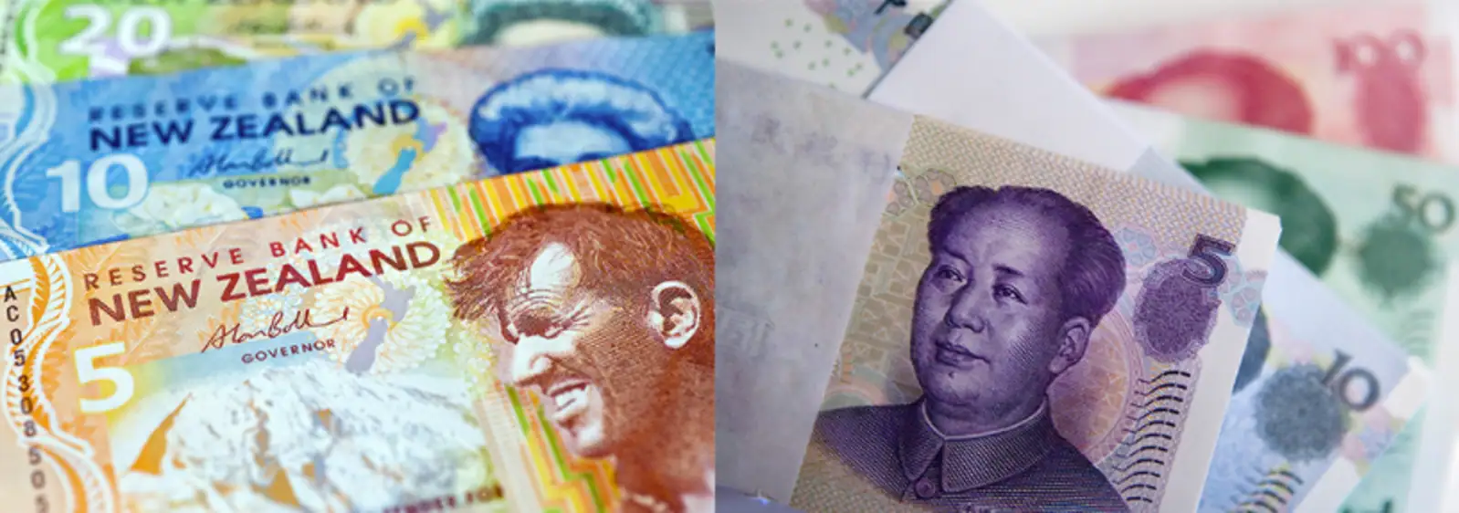 纽币兑人民币汇率大跌！旅游部门：大批中国游客杀了过来！