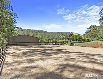 125 Beenak Road, Hoddles Creek, Yarra Valley, 4 rūma, 1 rūma horoi, House