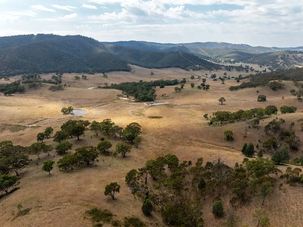 197 Stewarts Road, Oberne Creek, NSW 2650