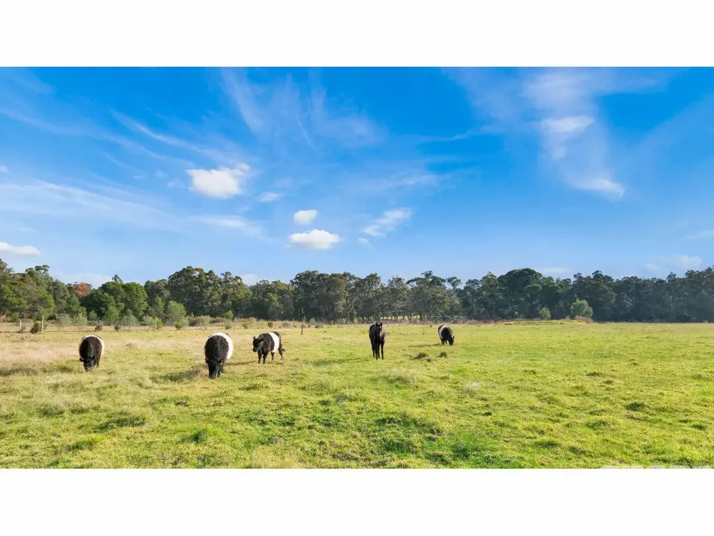 Sarsfield Large Acreage Close to Bairnsdale