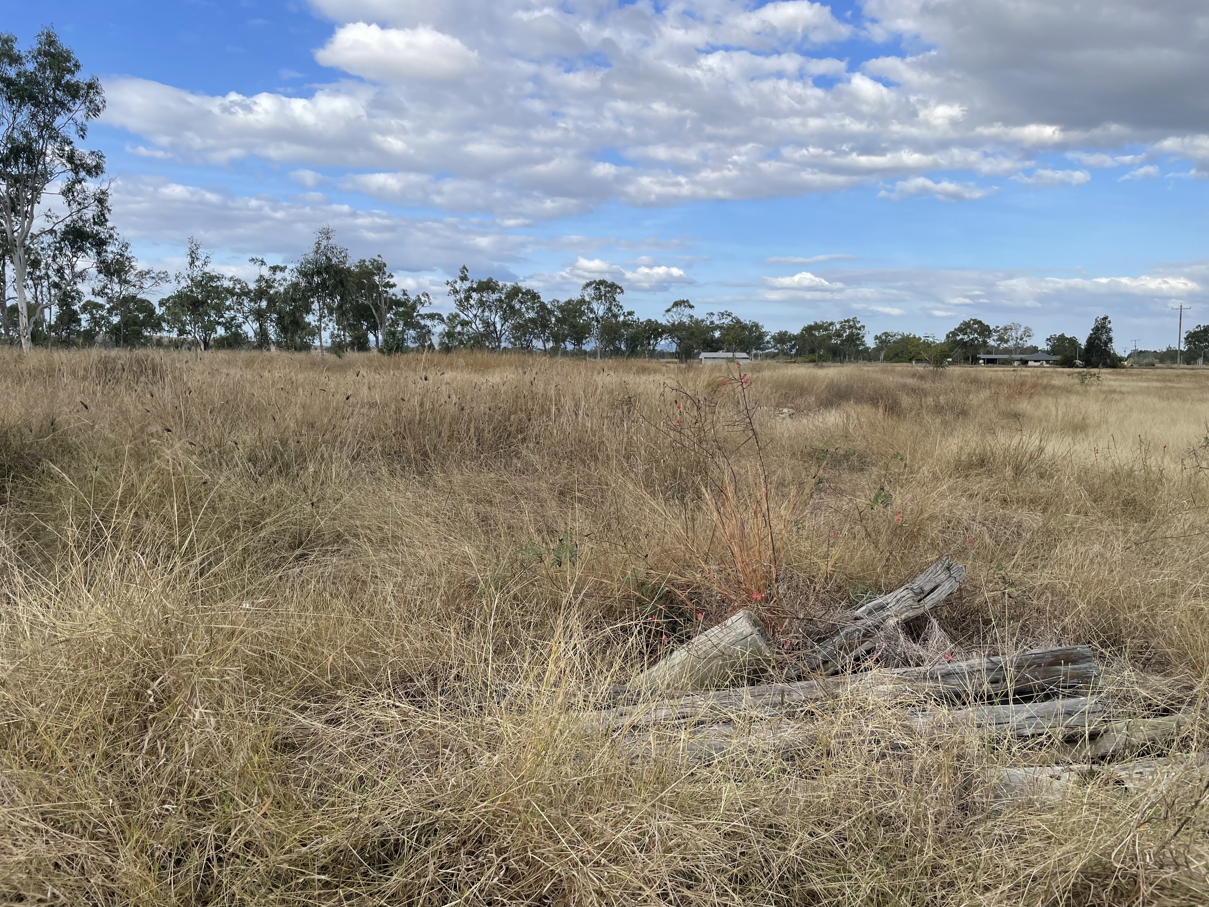 1025 RIDGELANDS RD, ALTON DOWNS QLD 4702, 0 habitaciones, 0 baños, Section