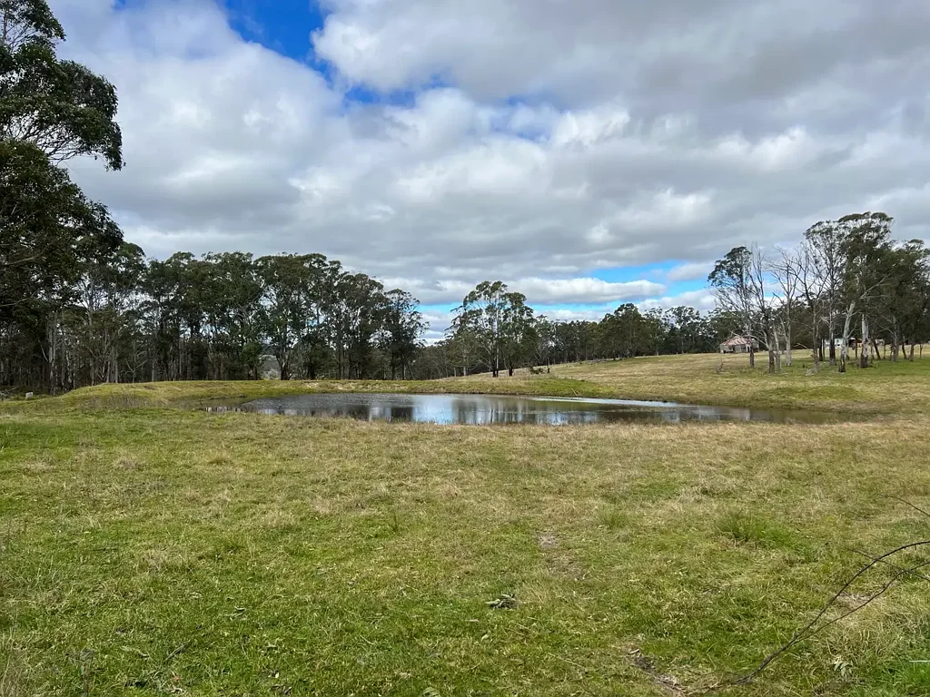 Red Range A LARGE 550 ACRE GRAZING & HUNTING BLOCK