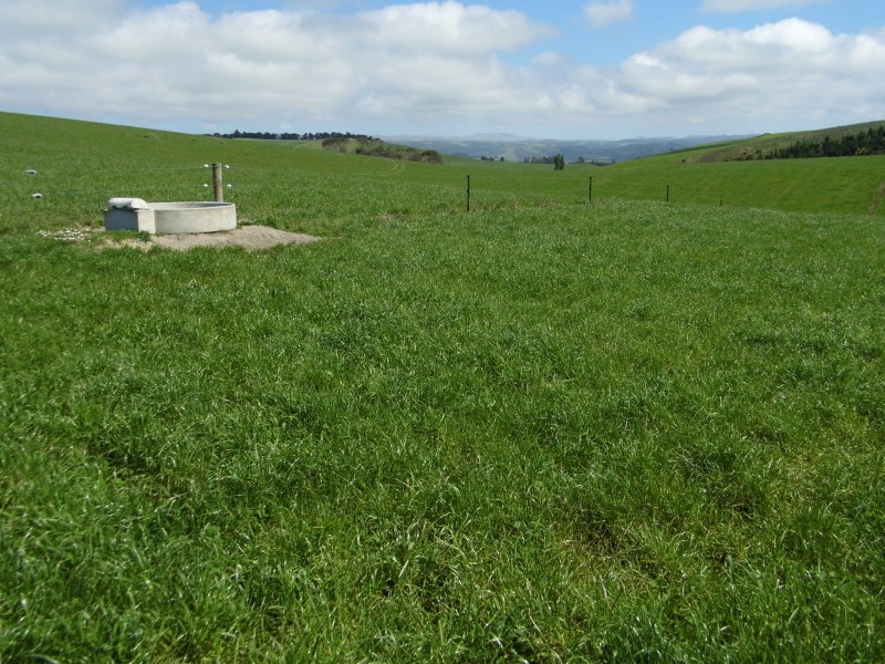 Bowalley Road, Herbert, Waitaki, 0 phòng ngủ, 1 phòng tắm, Bare Land