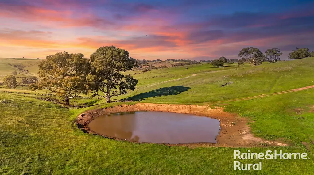 Wistow SLATE VALLEY SPRINGS - A Grazier's Lifestyle Opportunity Etched into a 257-acre Postcard Landscape.
