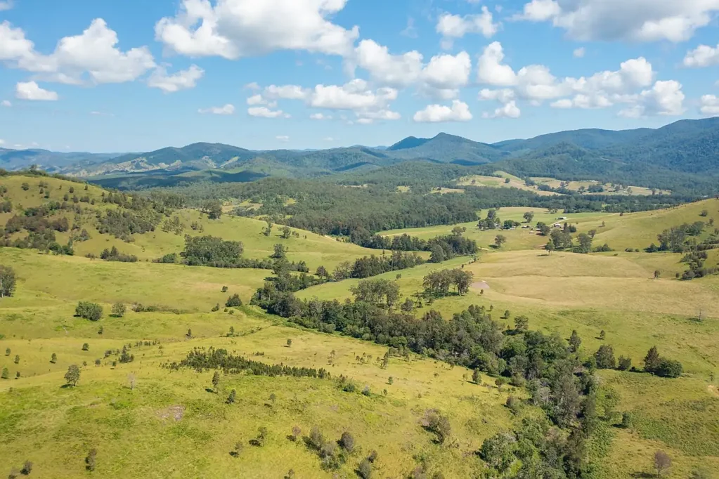 1331 Forbes River Road, Forbes River, NSW 2446