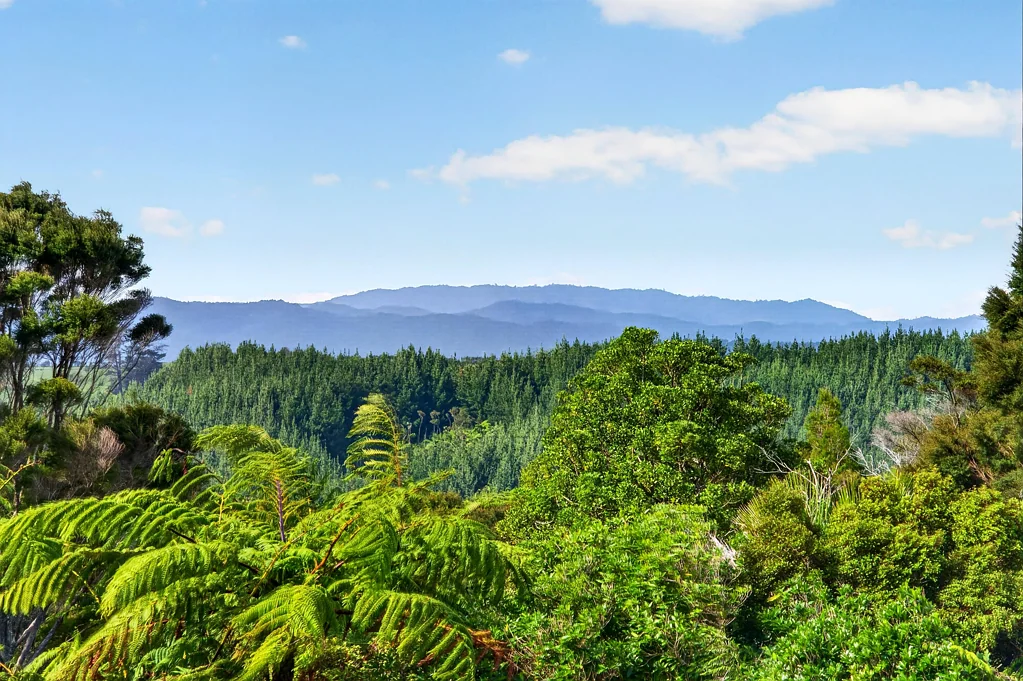 Hunua 3部屋 Country Escape - Minutes From Town!