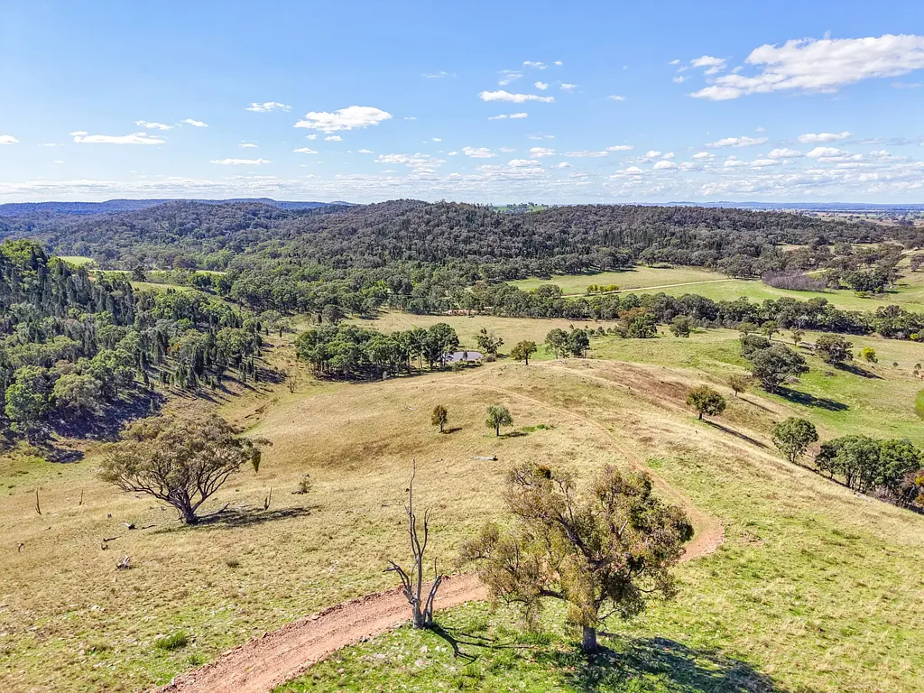 Gulgong  BUILD. GRAZE. ESCAPE