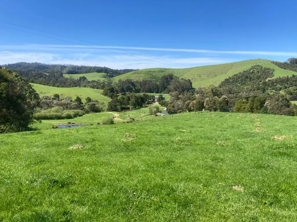 Toora North  Hilltop hideaway - picturesque acreage block
