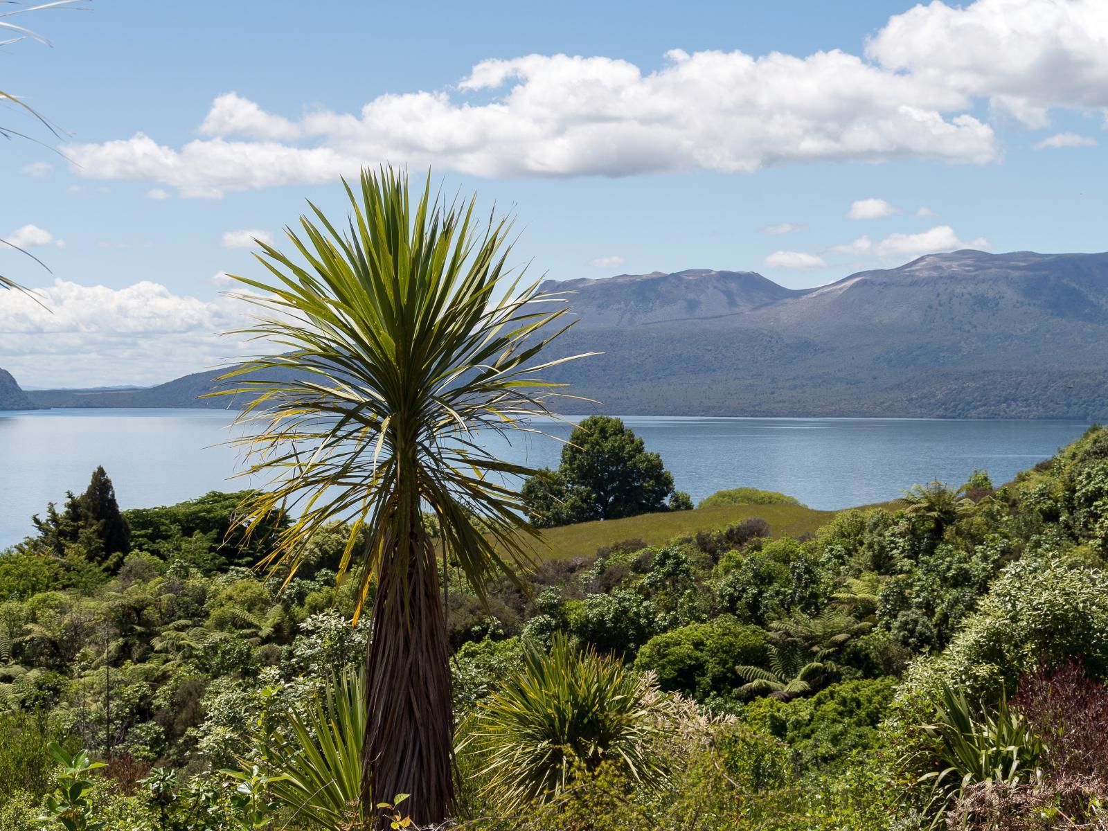 304 Spencer Road, Lake Tarawera, Rotorua, 0 chambres, 0 salles de bain